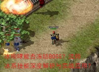 ܷ񶳽BOSSʦϵȽʵսӦã