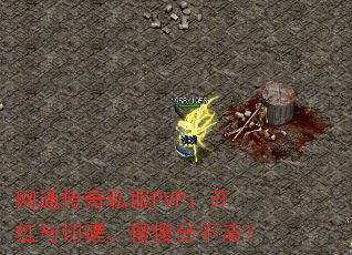 ͨ˽PVPд裬ɵɵֲ壿