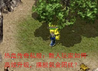 Ѫ˽ɢθЧ봽ţ