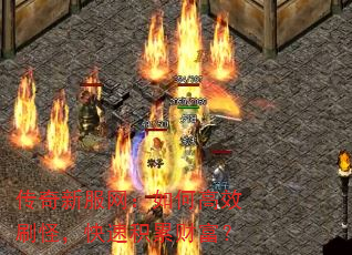 ·θЧˢ֣ٻ۲Ƹ