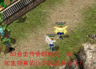 1.80ϻ򼶴δ֪ɪɪ