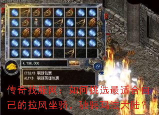 ҷѡʺԼ۳귨½
