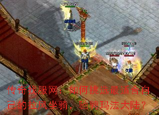 ҷѡʺԼ۳귨½