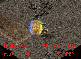 ҷѡʺԼ۳귨½