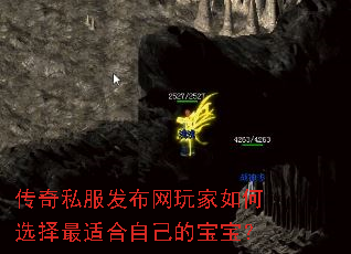 ˽ѡʺԼı