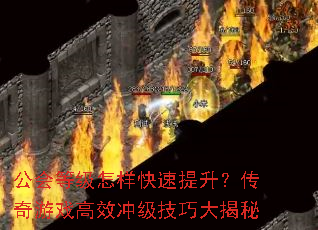 ȼϷЧ弶ɴ