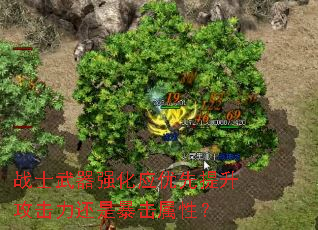 սʿǿӦǱԣ