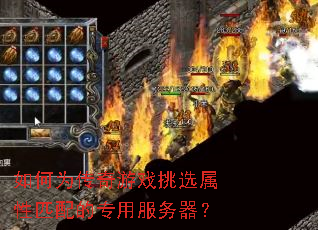 ΪϷѡƥר÷
