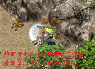 Ѫ˽淨ӿٶȣ
