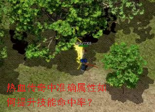 Ѫ׼ȷʣ