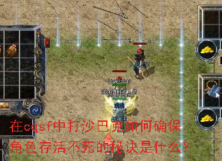 在cqsf中打沙巴克如何确保角色存活不死的秘诀是什么? 在cqsf中打沙巴克如何确保角色存活不死的秘诀是什么?