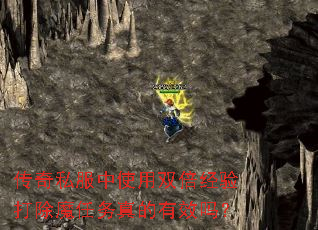 传奇私服中使用双倍经验打除魔任务真的有效吗? 传奇私服中使用双倍经验打除魔任务真的有效吗?