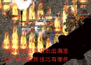 如何在武器商店刷出满意紫色武器实用技巧有哪些 如何在武器商店刷出满意紫色武器实用技巧有哪些