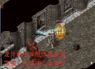 龙牙新手如何快速获得宝宝?高效技巧全解答 龙牙新手如何快速获得宝宝?高效技巧全解答