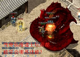 传奇私服道士玩家都能学会哪些技能? 传奇私服道士玩家都能学会哪些技能?