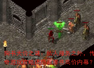 狗书天价之谜:私人服务之外,传奇游戏<a href=