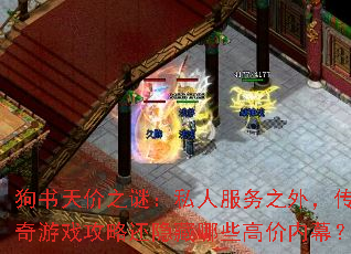 狗书天价之谜:私人服务之外,传奇游戏攻略还隐藏哪些高价内幕? 狗书天价之谜:私人服务之外,传奇游戏攻略还隐藏哪些高价内幕?