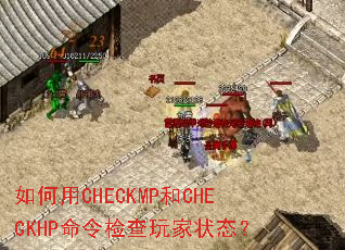 CHECKMPCHECKHP״̬