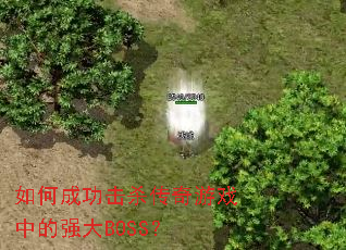 如何成功击杀传奇游戏中的强大BOSS? 如何成功击杀传奇游戏中的强大BOSS?