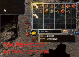 如何快速升级血饮?手把手教你高效攻略 如何快速升级血饮?手把手教你高效攻略