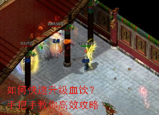 如何快速升级血饮?手把手教你高效攻略 如何快速升级血饮?手把手教你高效攻略