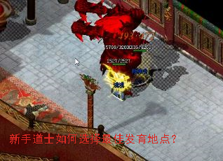 新手道士如何选择最佳发育地点? 新手道士如何选择最佳发育地点?