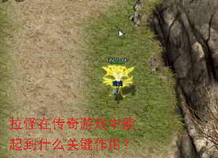 拉怪在传奇游戏中能起到什么关键作用? 拉怪在传奇游戏中能起到什么关键作用?