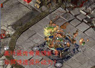 奥特曼传奇英雄新手如何快速提升战力? 奥特曼传奇英雄新手如何快速提升战力?