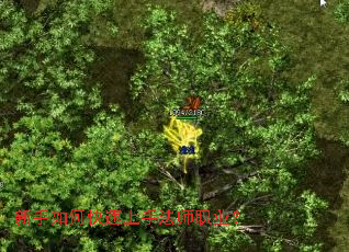 新手如何快速上手法师职业? 新手如何快速上手法师职业?