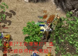 石墓尸王在哪里打?击杀它能获得什么奖励? 石墓尸王在哪里打?击杀它能获得什么奖励?