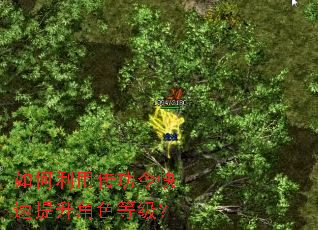 如何利用传功令快速提升角色等级? 如何利用传功令快速提升角色等级?