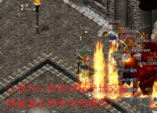 ��������������ز��ؾ��������������Ĵ������ܣ�