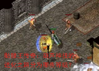 骷髅王传奇:葫芦神技的进化之路分为哪些等级? 骷髅王传奇:葫芦神技的进化之路分为哪些等级?