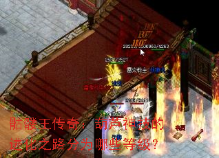 骷髅王传奇:葫芦神技的进化之路分为哪些等级? 骷髅王传奇:葫芦神技的进化之路分为哪些等级?