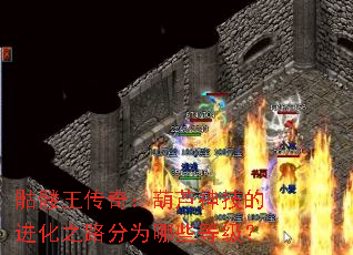 ���������棺��«�񼼵Ľ���֮·��Ϊ��Щ�ȼ���