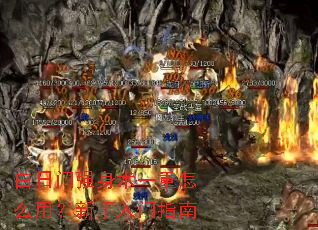 白日门强身术一重怎么用?新手入门指南 白日门强身术一重怎么用?新手入门指南