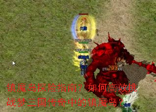 ��ħ��̽��ָ�ϣ���θ�Ч��ս�����������е���ħ����