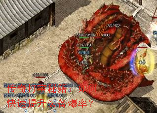 ������ؼ�����ο�������װ�����ʣ�