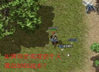 ����ƶ���Ч�ĸ��˼�սBOSSս����