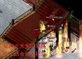 如何在天罡国掌握心法融合的奥秘? 如何在天罡国掌握心法融合的奥秘?