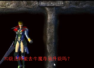 30����ʦ��ȥţħ����������