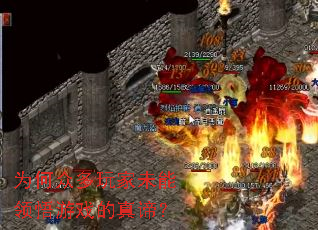 Ϊ���ڶ����δ��������Ϸ�����У�