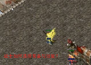 սʿ���ѡ��װ���뼼�ܣ�