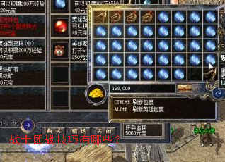 战士团战技巧有哪些? 战士团战技巧有哪些?