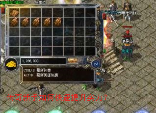 ����������ο�������ʵ����