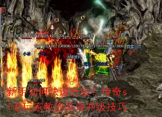 ������ο�������������sf����ҽ����Ч�弶����