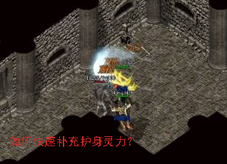 ��ο��ٲ��令��������