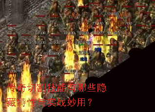 �����и������Щ����������ʵս���ã�