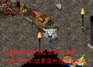 �������HEROM2����ľֲ���������Ч��������Ϸ���飿