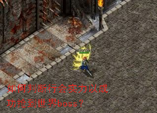 ����ж��л�ʵ���Գɹ���������boss��